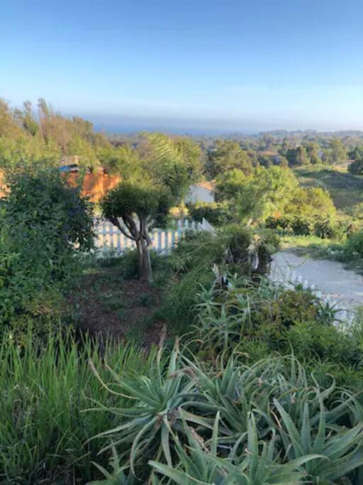 30 Pct Off!! Limited Time! Malibu Zen Guest Suite, Near Beach & Hiking Trails, Central Location Exterior foto